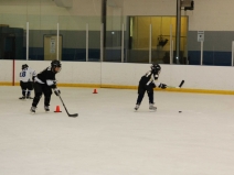 Hockey Skills Republic & Ultimate Power Skating Skills Academy